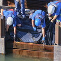 vnf dtrs barrage ormes travaux debatardage 024