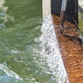 vnf dtrs barrage ormes travaux debatardage 027