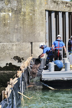 vnf dtrs barrage ormes travaux pompage 028