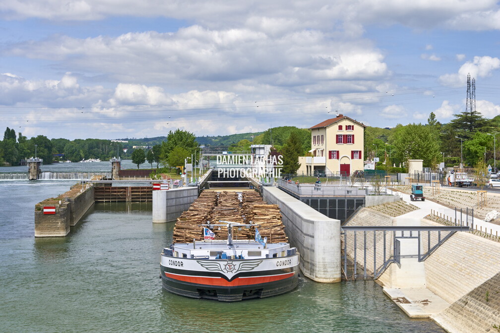 La péniche grand gabarit le Condor chargée de bois en provenance du port de Villefranche-sur-Saône pour une papeterie à Tarascon, ici à l'écluse de Rochetaillée-sur-Saône au nord de Lyon. vnf_dtrs_filliere_bois_condor_avril2018_ecluse_rochetaillee_010.jpg