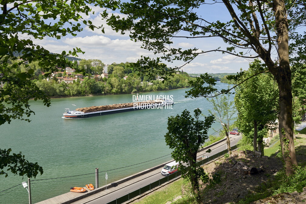 La péniche grand gabarit le Condor chargée de bois en provenance du port de Villefranche-sur-Saône pour une papeterie à Tarascon, ici au niveau de l'île Barbe à Lyon vnf_dtrs_filliere_bois_condor_avril2018_navigation_005.jpg