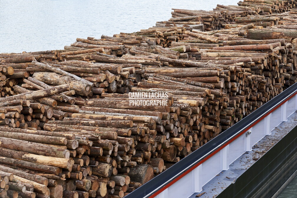La péniche grand gabarit le Condor chargée de bois au port de Villefranche-sur-Saône pour une papeterie à Tarascon. vnf_dtrs_filliere_bois_occitania_sept2017_illustration_bois_002.jpg