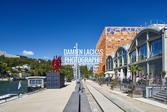 vnf dtrs lyon quai rambaud vue generale 008