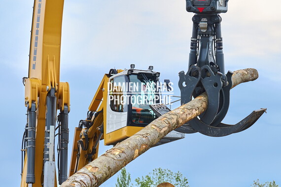 vnf dtrs port villefranche chargement bois 016