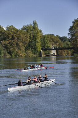 vnf dtrs saone caluire aviron 058