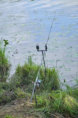 vnf dtrs saone pont-vaux peche 003