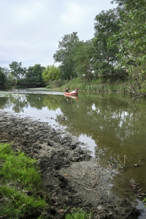 vnf dtrs saone pont-vaux plante envahissante jussie 014