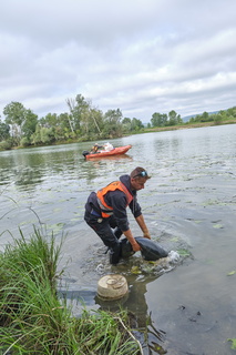 vnf dtrs saone pont-vaux plante envahissante jussie 037