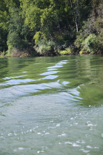 vnf dtrs saone pont-vaux vague 004