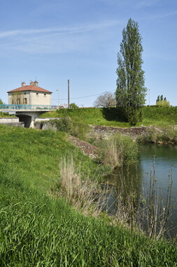 vnf dtrs saone st-jean-losne plante envahissante 010