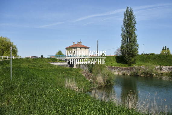vnf dtrs saone st-jean-losne plante envahissante 011