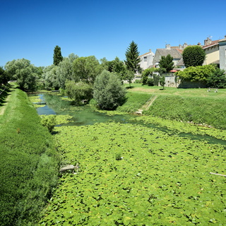 vnf dtrs saone verdun doubs 006