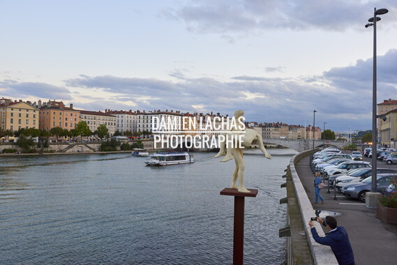 vnf dtrs sept2017 saone lyon bateau ballade 022