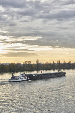 vnf lyon saone trafic fluvial lyon confluence 014