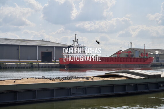 seine descente romantica j3 025