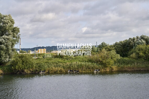 seine remonte bosphore j1 011