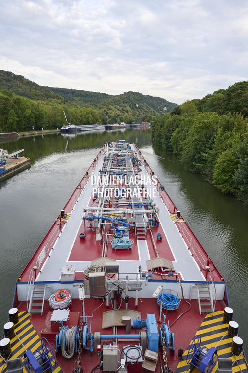 seine_sept2023_gazier_007.jpg