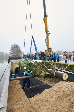 vnf dtcb sapin elysee dec2017 011