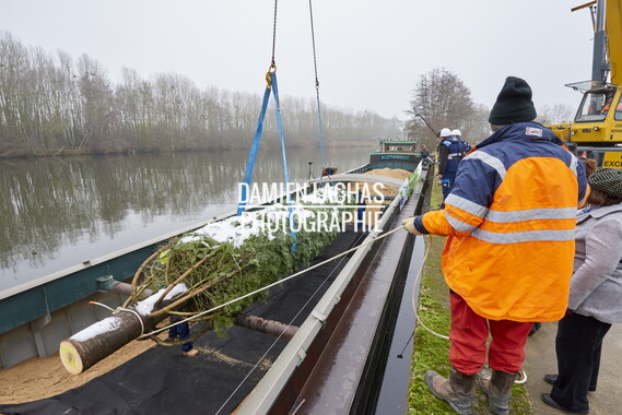 vnf dtcb sapin elysee dec2017 012