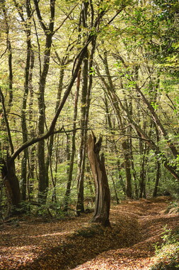 correze gimel cascades photo 017