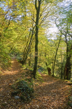 correze gimel cascades photo 024