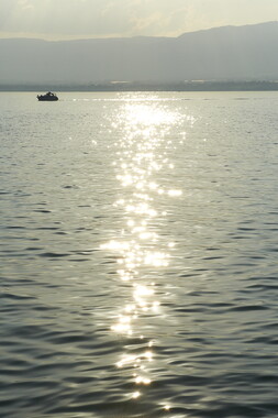 1345 dl vvf lac montagne evian yvoire 004