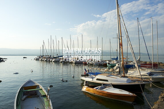 1345 dl vvf lac montagne evian yvoire 007