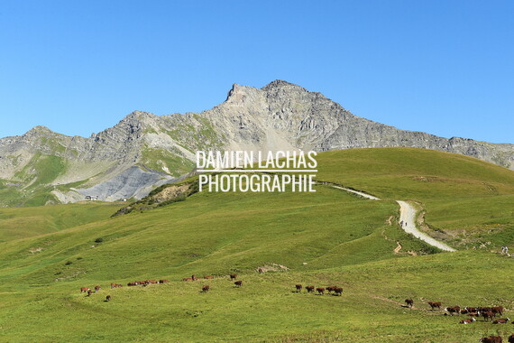 1360 dl vvf st francois longchamp ete fixe montagne 005
