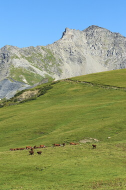 1360 dl vvf st francois longchamp ete fixe montagne 016