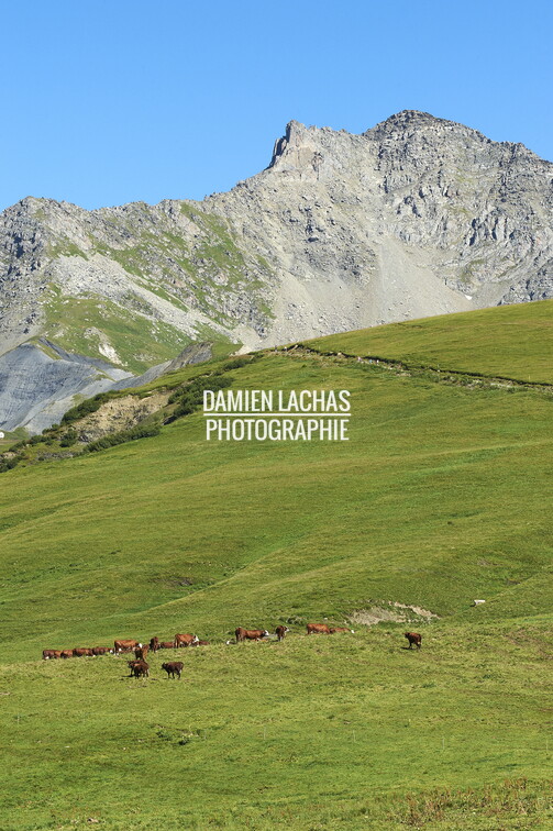 1360_dl_vvf_st_francois_longchamp_ete_fixe_montagne_016.jpg