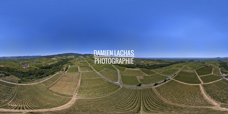 beaujolais 360 ville-morgon vigne haute ronze