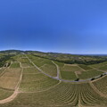 beaujolais 360 ville-morgon vigne haute ronze