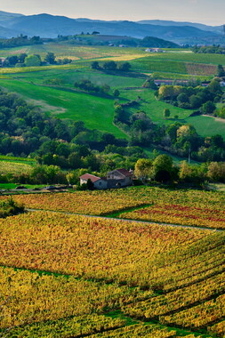 beaujolais carriere glay 001