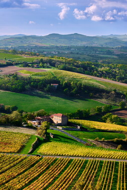 beaujolais carriere glay 002