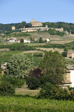 beaujolais chateau 001