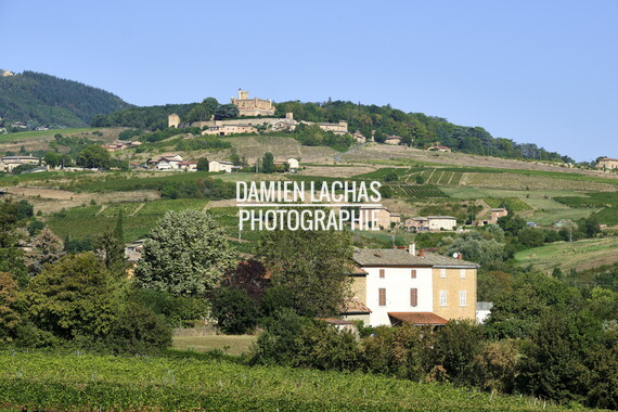 beaujolais chateau 002