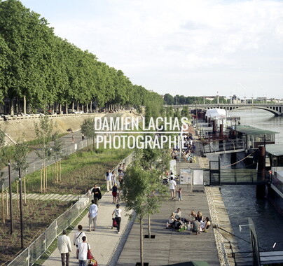 dl lyon 004