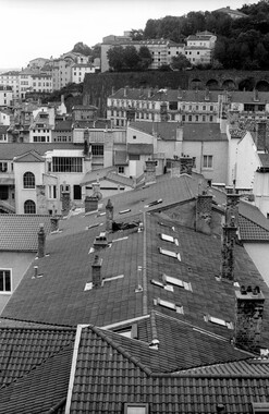 dl lyon toit nb 2011 006