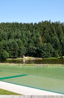 lac sapin juillet2019 001