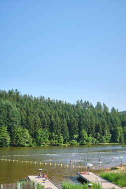 lac sapin juillet2019 005