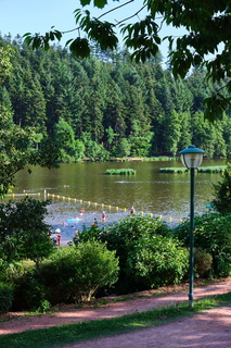 lac sapin juillet2019 006