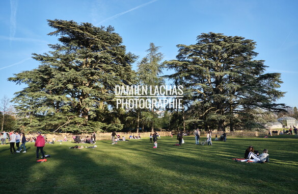 parc tete or mars2019 001