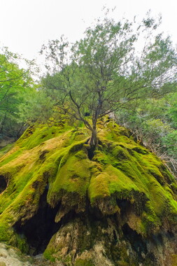 vacance ete 2020 vercors cascade verte 003