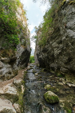 vacance ete 2020 vercors cascade verte 005