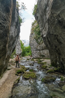 vacance ete 2020 vercors cascade verte 006