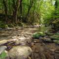 vacance ete 2020 vercors riviere vernaison 002