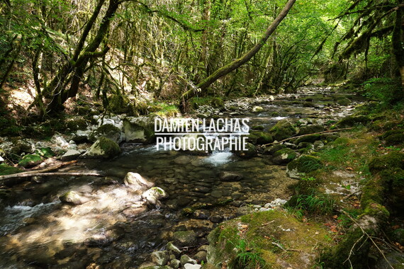 vacance ete 2020 vercors riviere vernaison 008