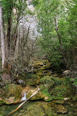 vacance ete 2020 vercors ruisseau gourmier 001