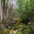 vacance ete 2020 vercors ruisseau gourmier 001