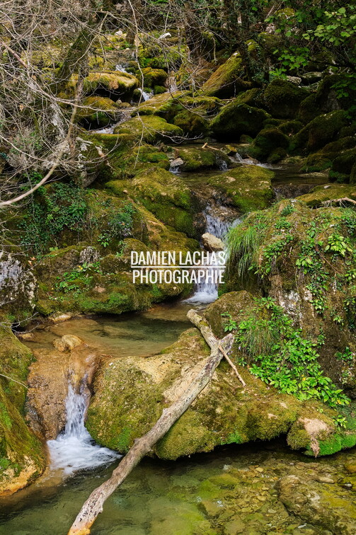 vacance_ete_2020_vercors_ruisseau_gourmier_002.jpg